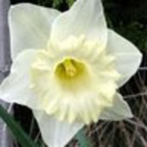 Meet your Posher, Whitney